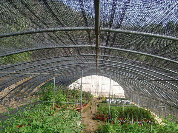 山東蔬菜大棚遮陽網